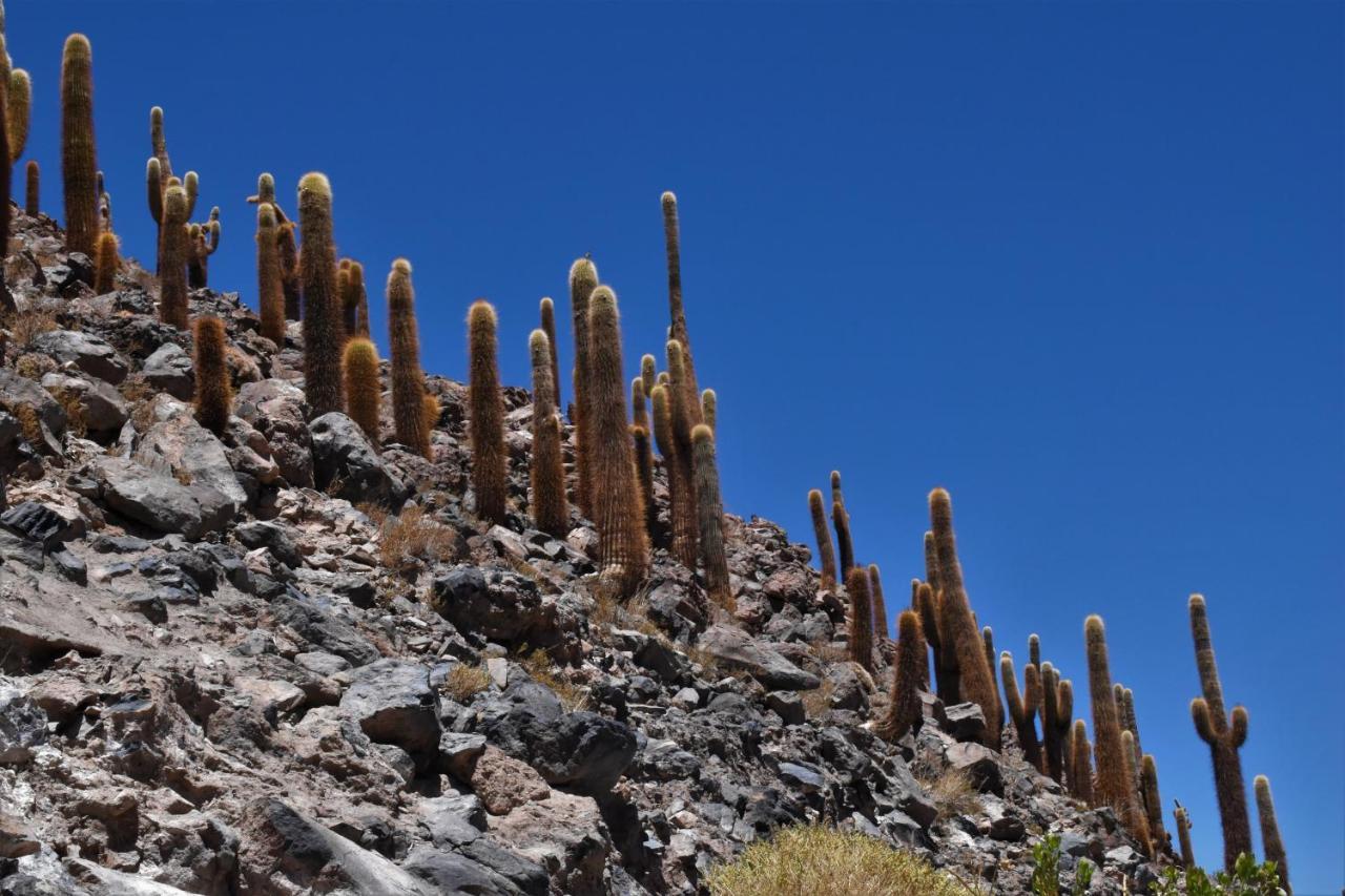 Apartamento Refugio Natu San Pedro de Atacama
